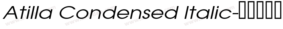 Atilla Condensed Italic字体转换